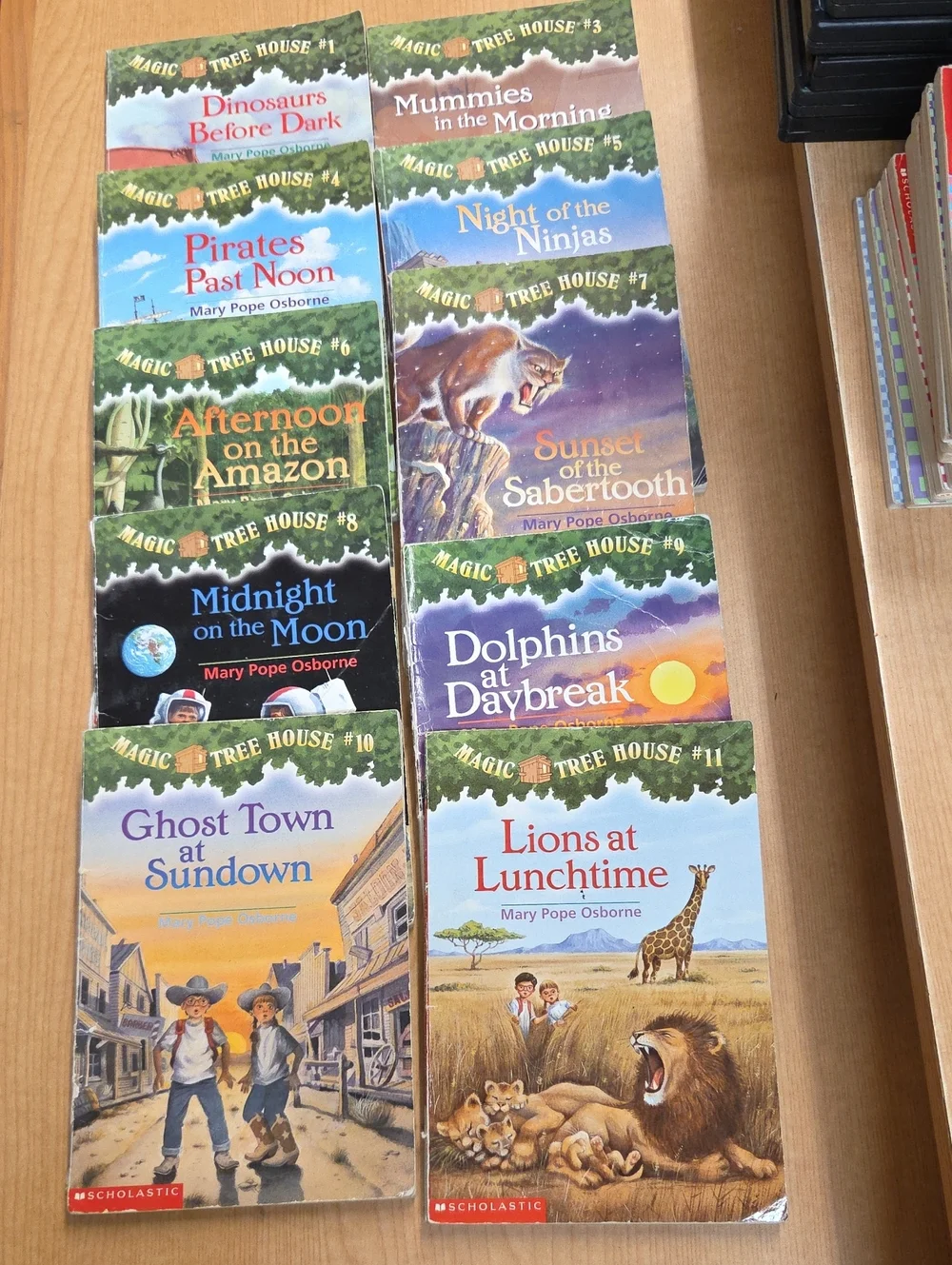Scholastic lot 20
